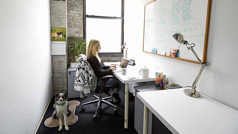 An image for the workplace of the yard as the best coworking space in new york