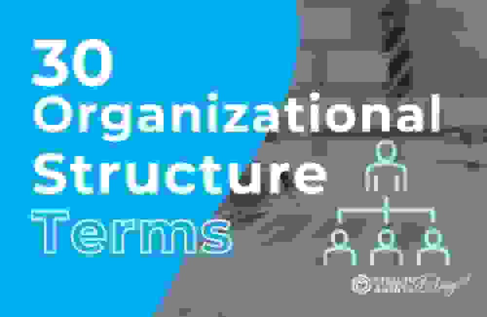 30 Organizational Structure Terms